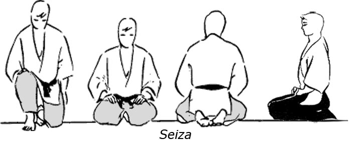 Seiza-vector